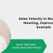 Sales Velocity In Real Estate